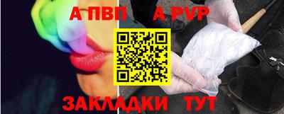 дурь Кингисепп