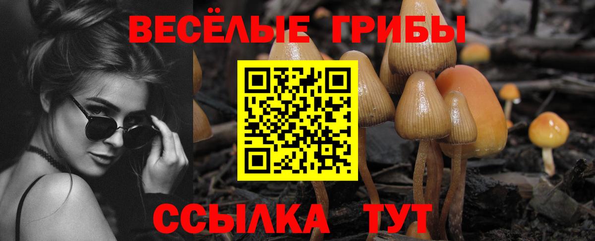 Псилоцибиновые грибы MAGIC MUSHROOMS Красноуфимск